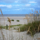 Tybee Island Vacation Rentals