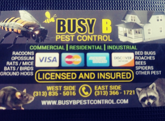 Busy B Pest Control - Detroit, MI