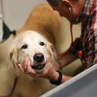 Animal Hospital of Dunedin - Dunedin, FL