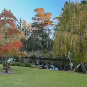 Gallery Image Number 2