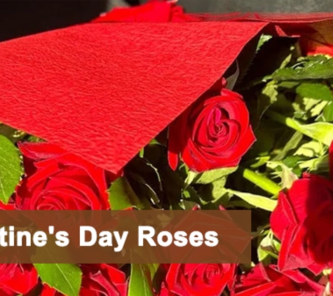 My Florist Launceston Tasmania & Metaphysical Launceston - Launceston, TAS. Valentine's Day Roses
