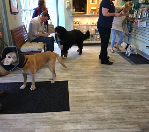 Elliott Bay Animal Hospital - Seattle, WA