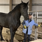 Grafton Equestrian Center