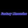 Fantasy Limousine gallery