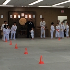 Hino Ryu Martial Arts