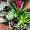 Ace's Flowers gallery