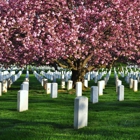 St. Bernard's Cemetery