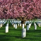 St. Bernard's Cemetery