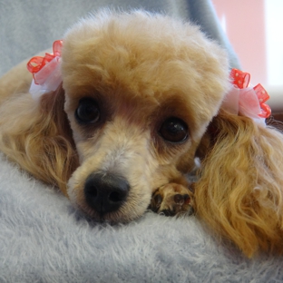 Doggie Style Pet Grooming - Warren, MI