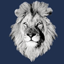 White Lion Moving & Storage - Movers & Full Service Storage