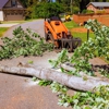 JS Tree Care gallery