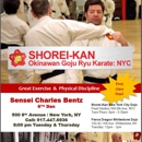 Shorei-Kan Okinawan Budo Kaisai-Do - Martial Arts Instruction