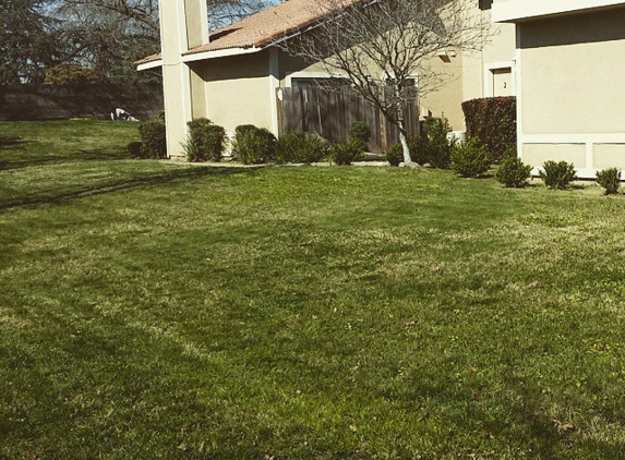 HD Lawn Care & Landscape Maintenance