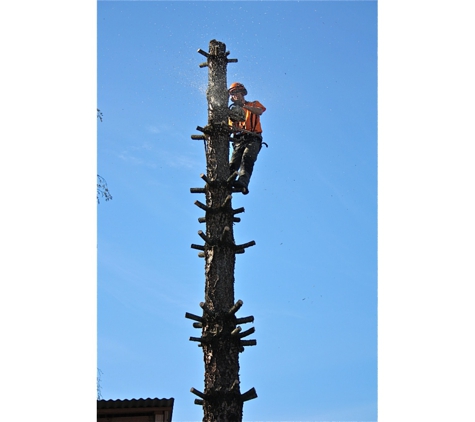 Irwin Clements Tree Service - Hobart, TAS