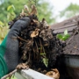 Iowa Gutter Cleaning