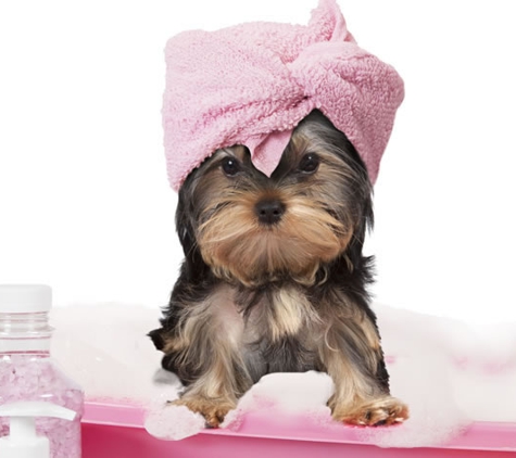 Mobile Dog Grooming of Simi Valley Thousand Oaks - Simi Valley, CA