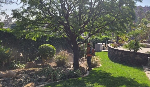 CM Precision Tree and Landscaping - San Diego, CA