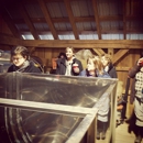 Sugarbush Creek Farm - Foresters