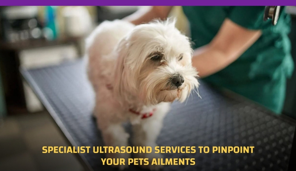 Orchard Hills Veterinary Hospital - Orchard Hills, NSW. Specialist Ultrasound Services To Pinpoint Your Pets Ailments