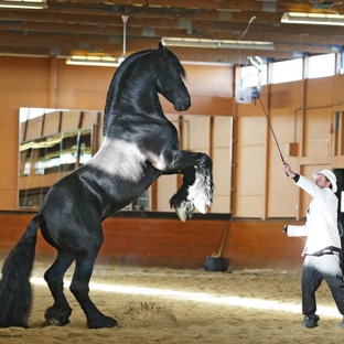 Bocoy Stables - Loxahatchee, FL