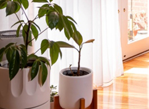 Luxcel Blinds - Ravenhall, VIC
