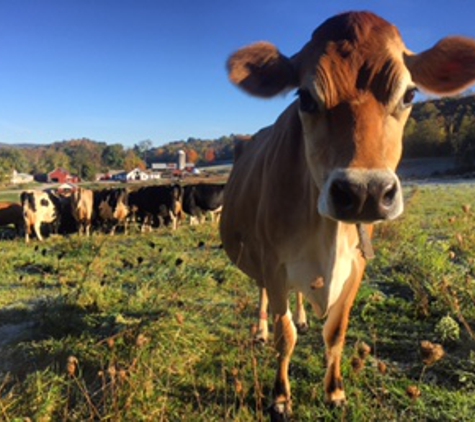 Brookby Dairy LLC - Dover Plains, NY