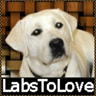 Labs To Love - Lakeside, CA