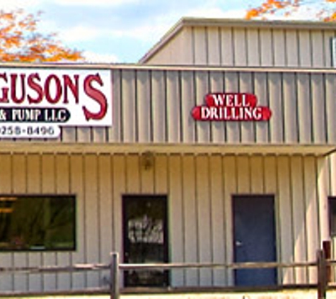 Ferguson's Well And Pump LLC - Leicester, NC