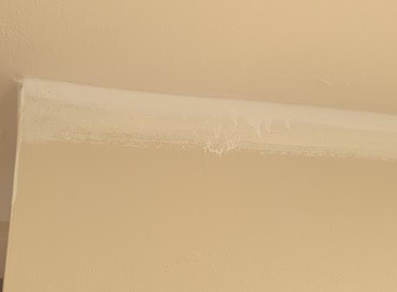 Diamond Painter - Perth, WA. Runs