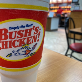 Bush's Chicken - San Antonio, TX