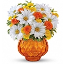 Orams Chevy Chase Florist - Gift Shops