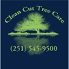 Clean Cut Tree Care gallery