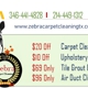 Zebra Carpet Cleaning League City TX