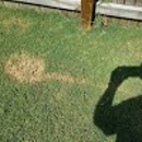 Think Green Lawn Service - Gardeners