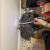 Prime Air Duct Solutions gallery