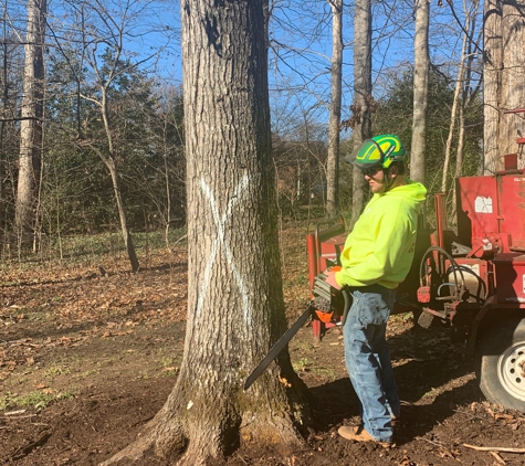 Canopy Tree Service - Mocksville, NC