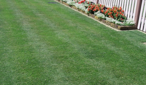 Walkers Turf Supplies - Silkstone, QLD