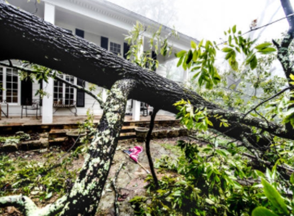 Cisneros Tree Service - Omaha, NE