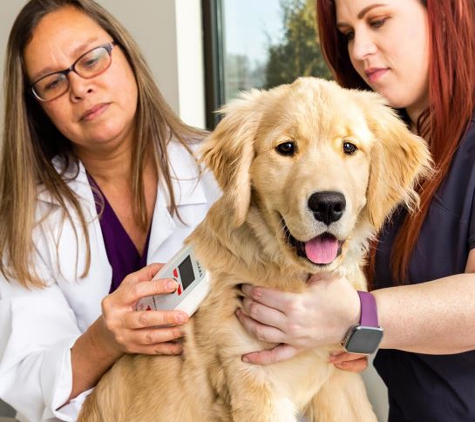 Crossroads Animal Hospital - Crown Point, IN