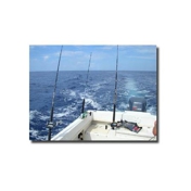 Gallery Image Number 1