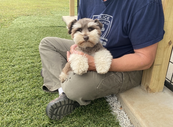 Bellarose Kennels - Ozark, MO