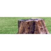 Gallery Image Number 4