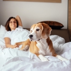 Crowne Plaza College Park - Washington DC by IHG