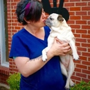 Yvonne's Pet Sitting Service - Pet Sitting & Exercising Services