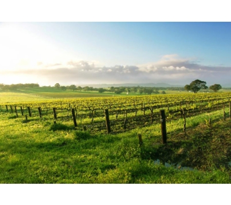 Preston Rowe Paterson Newcastle & Central Coast Pty Ltd - Wickham, NSW