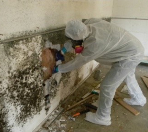 Healthy Air Duct Cleaning & Mold Remediation - Gretna, LA