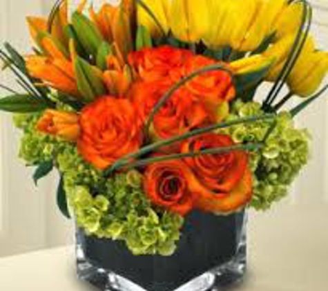 Citywide Florist NYC - New York, NY. Citywide Florist: Your Go-To Destination for Blooms of Beauty

At Citywide Florist, we believe that every moment in life deserves to be ador