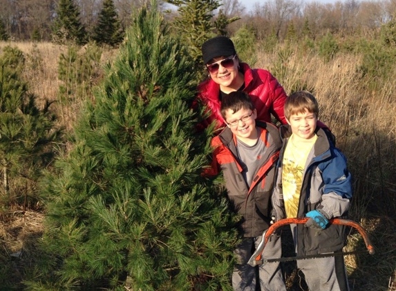 Bens Christmas Tree Farm - Harvard, IL