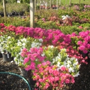 Jesse Israel and Sons Garden Center - Garden Centers