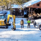 Black Bear Tree Solutions